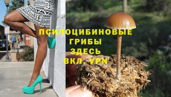 шишки Горняк