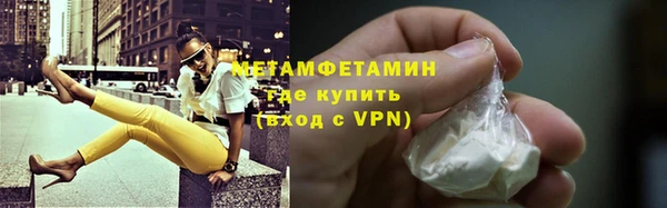 шишки Горняк