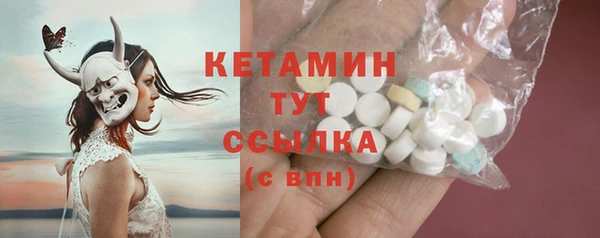 шишки Горняк