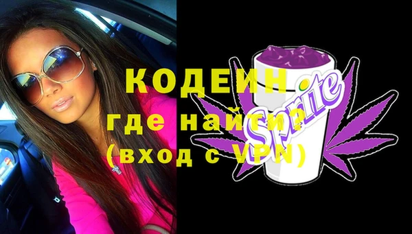 ГАЛЛЮЦИНОГЕННЫЕ ГРИБЫ Гусь-Хрустальный
